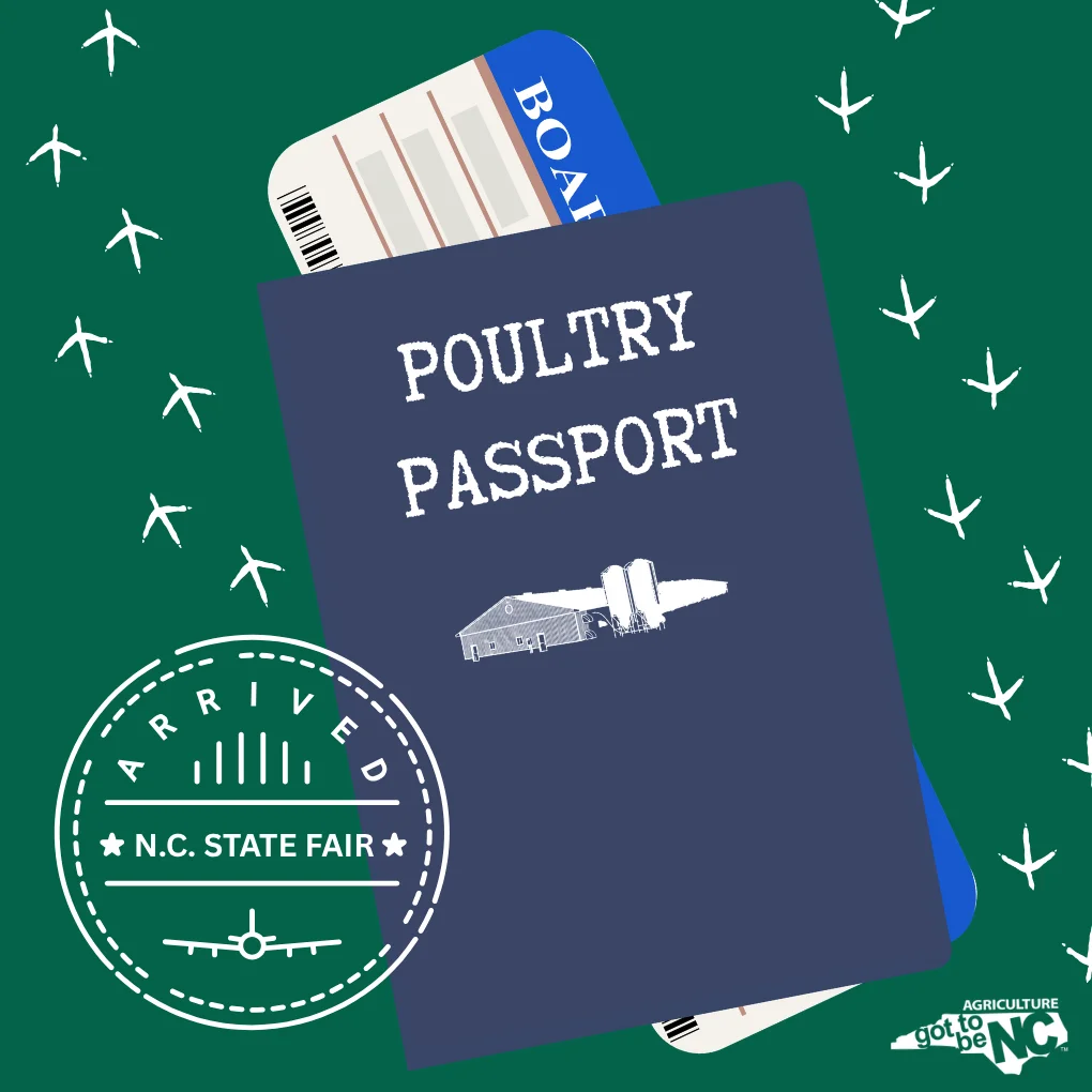 N.C. State Fair Poultry Passport: Poultry's Path to Your Plate