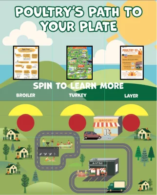 Educational Display 