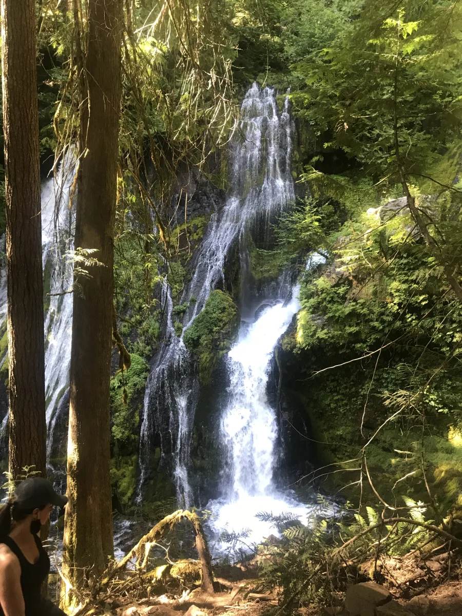 IMG_2453.jpeg